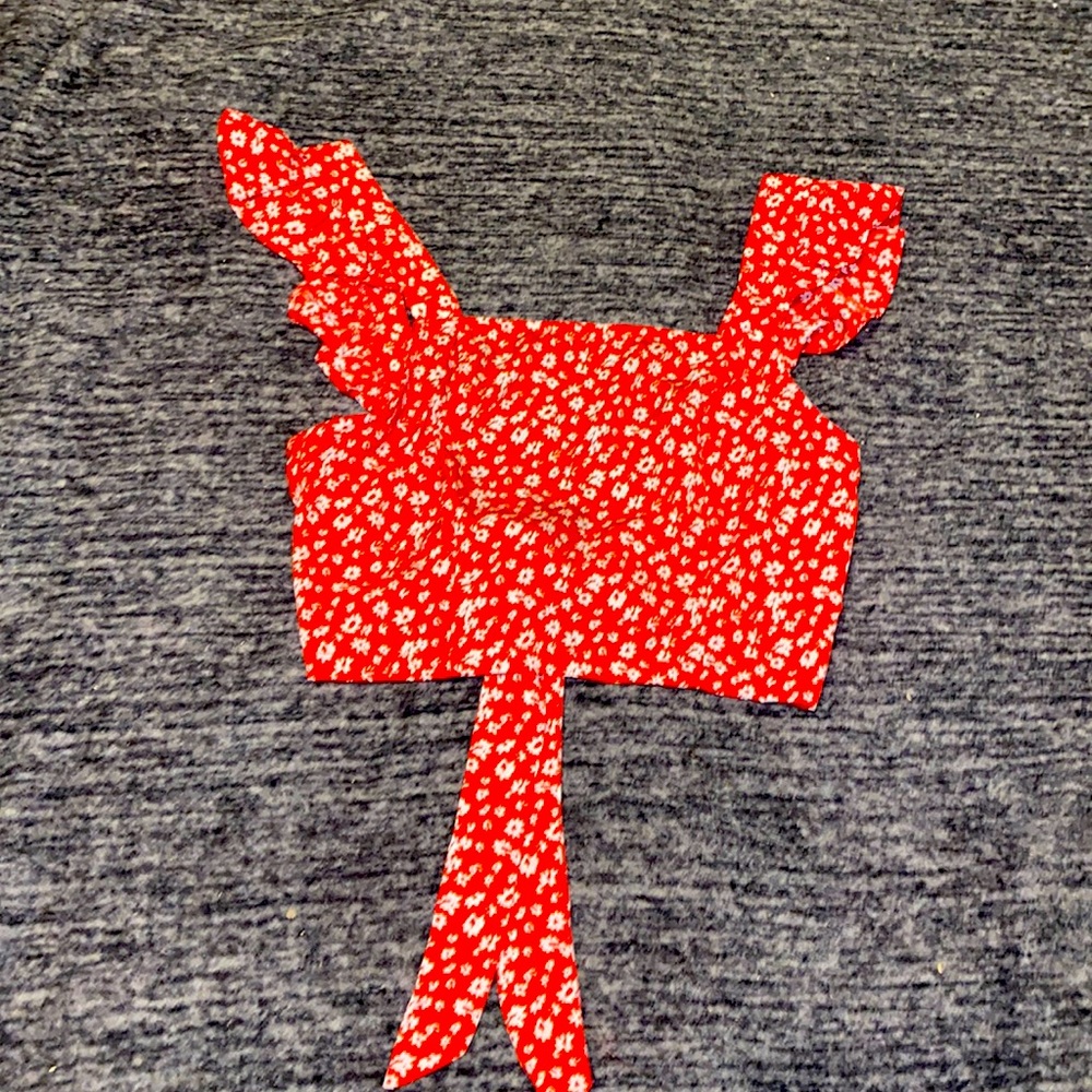 Open Back Cropped Blouse